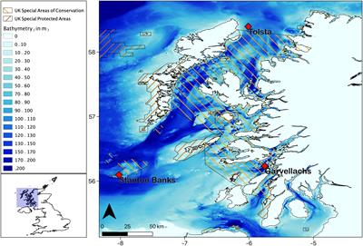 More than a whistle: Automated detection of marine sound sources with a convolutional neural network